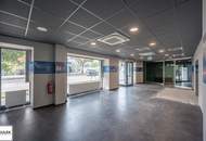 174 m² Gewerbefläche im Erdgeschoß | Cafe, Büro, Praxis, Studio & mehr