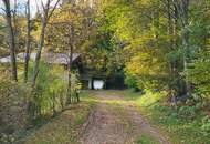 Solides Wohnhaus mit Potenzial in ruhiger Waldrandlage