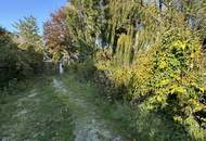 Idividuell Bauen oder direkt - 6 Bewilligte Wohneinheiten!