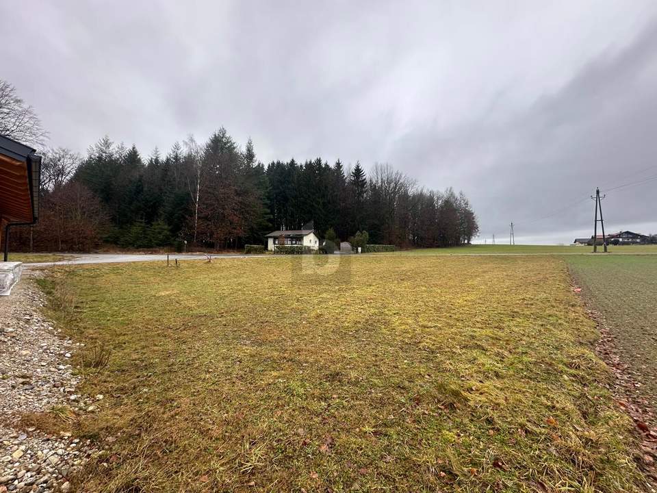 BAUGRUND MIT WEITBLICK ? NATURNAH WOHNEN NAHE SALZBURG