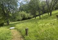 Naturparadies in Grünbach am Schneeberg- Großzügige Liegenschaft in absoluter Ruhelage