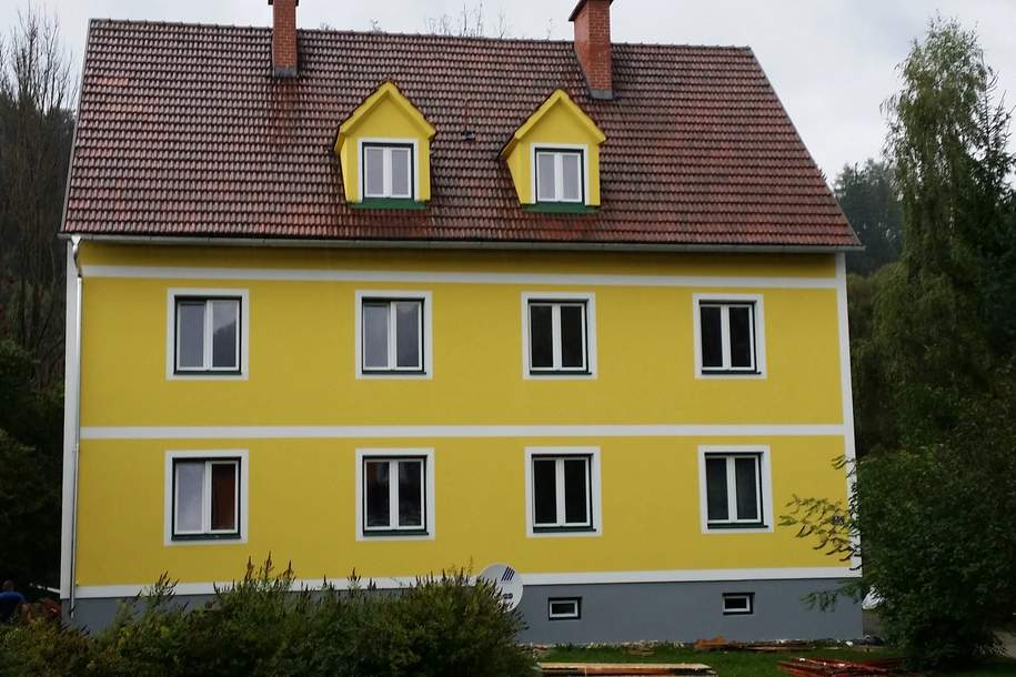 Anlageobjekt, 6 FWH in Langenwang (Provisionsfrei), Gewerbeobjekt-kauf, 545.000,€, 8665 Bruck-Mürzzuschlag