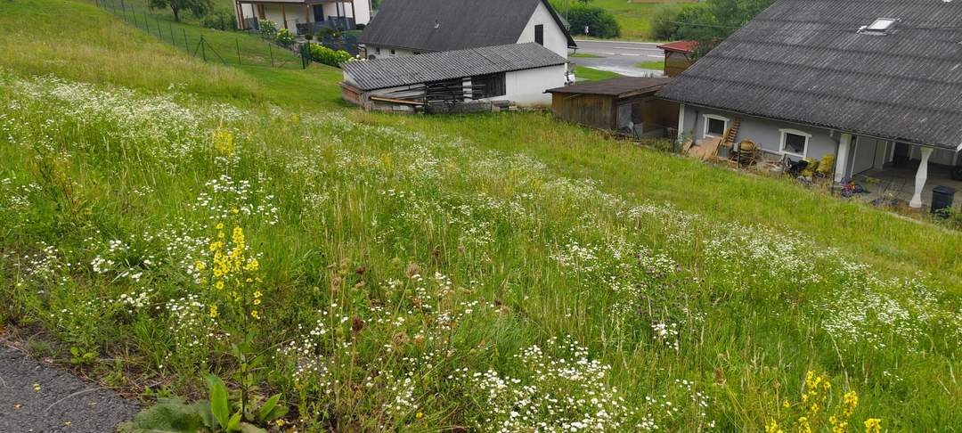 Baugrund mit Ecken und Kanten- gestalten Sie Ihr Paradies