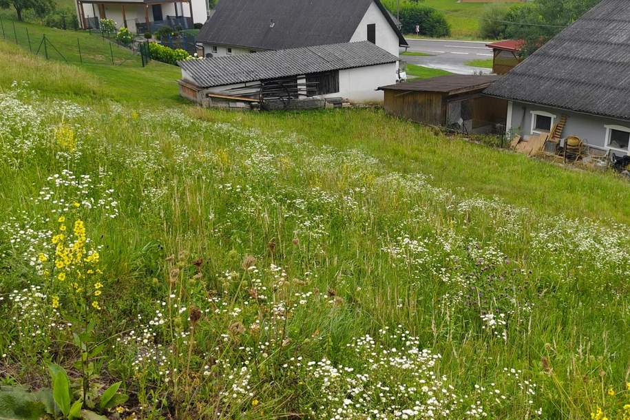 Baugrund mit Ecken und Kanten- gestalten Sie Ihr Paradies, Grund und Boden-kauf, 49.900,€, 8083 Südoststeiermark