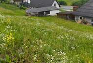Baugrund mit Ecken und Kanten- gestalten Sie Ihr Paradies