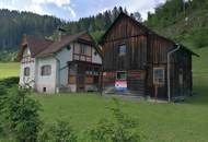 Haus mit Stall, Wiese und Wald in Etmißl