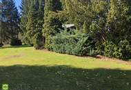 CHRISTOPH CHROMECEK IMMOBILIEN - GIESSHÜBL - Zentral gelegenes Baugrundstück!