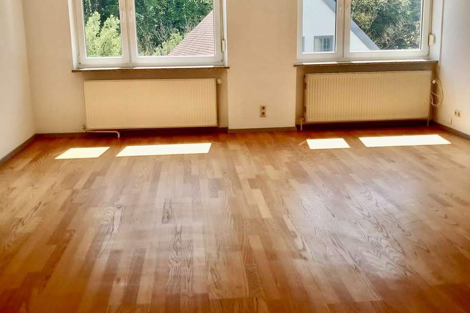 Eigentumswohnung mit großer Terrasse und separaten Eingang!, Wohnung-kauf, 199.000,€, 3500 Krems an der Donau(Stadt)