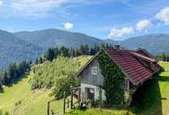 Einzigartige Landwirtschaft inkl. Hofstelle und eigener Quelle, umgeben von 52 ha arrondierter Wald- und Wiesenfläche