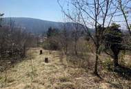 Großes Grundstück für Bauträger oder privaten Wohnbau! Bebauungsstudie vorhanden! Altbestand!