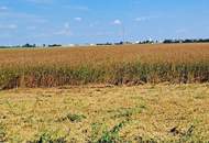 Großes Ackergrundstück zu Verkaufen!