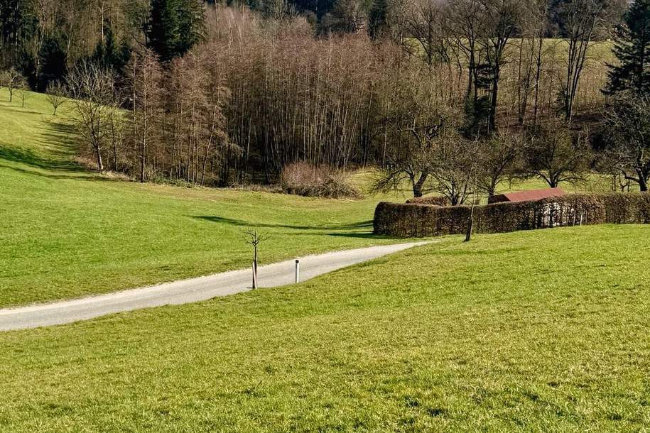 Baugrund mit atemberaubenden Ausblick - Aufgeschlossen &amp; ohne Bauzwang., Grund und Boden-kauf, 382.000,€, 4111 Urfahr-Umgebung