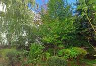 RESERVIERT - RUHIGE SINGLE-ALTBAUWOHNUNG MIT GEMEINSCHAFTSGARTEN NAHE U6 JOSEFSTÄDTER STRASSE