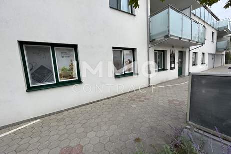 149 m² für Ihre Praxis oder Büroräume, Gewerbeobjekt-kauf, 450.000,€, 2130 Mistelbach