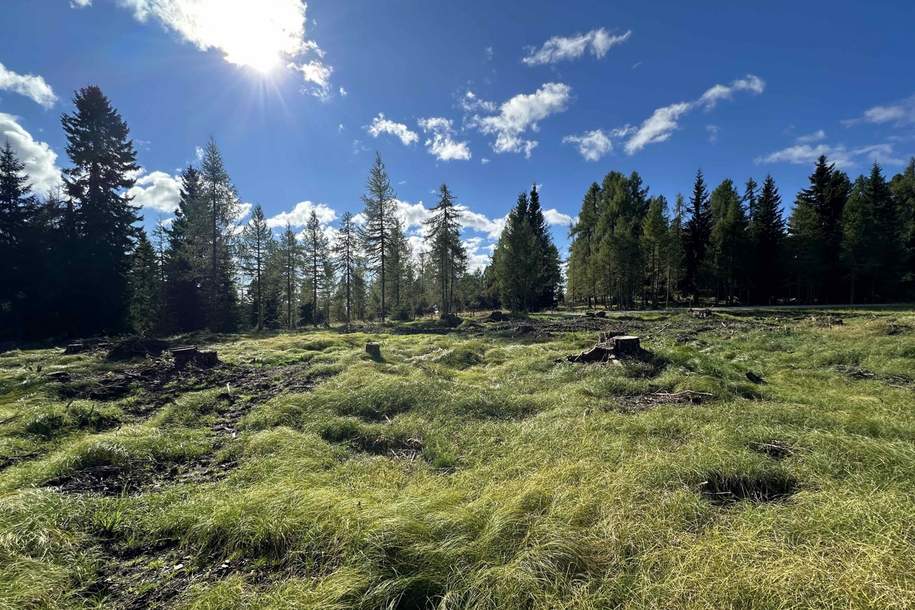 Großes und sonniges Grundstück ideal für Investoren im Feriengebiet am Hochrindl, Grund und Boden-kauf, 9571 Feldkirchen
