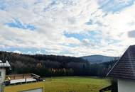 Tolles Einfamilienhaus zur Miete: Carport, Pool, Terrasse, Wintergarten, Vollkeller