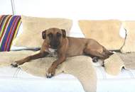 Eigengarten- 4 Zimmer- Pool