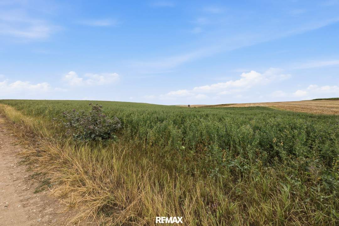 Landwirtschaftliche Fläche mit 7026 m² in Untermallebern zu verkaufen!