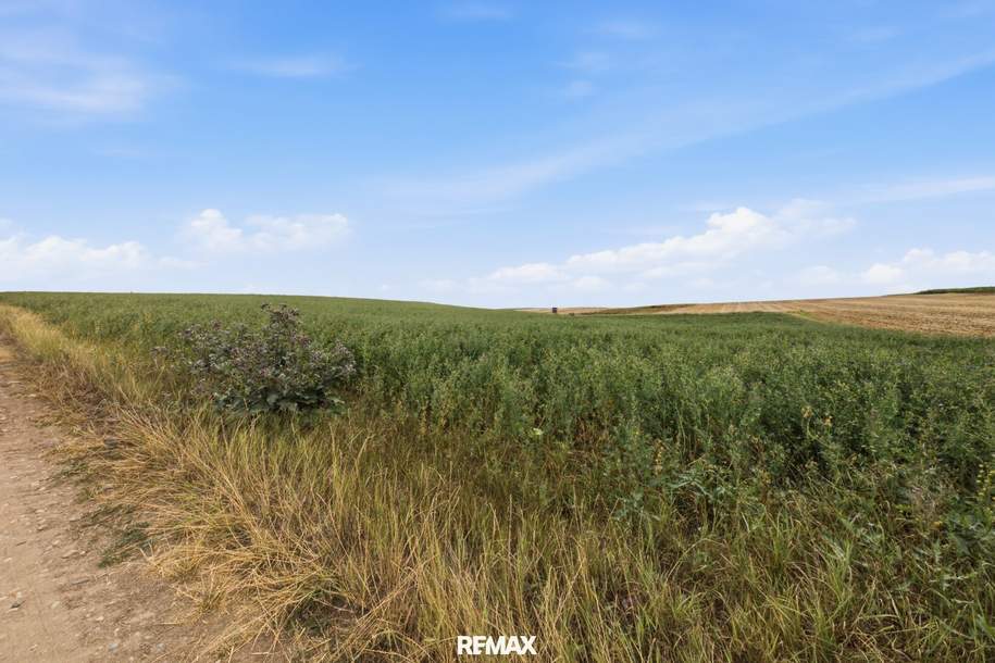 Landwirtschaftliche Fläche mit 7026 m² in Untermallebern zu verkaufen!, Grund und Boden-kauf, 69.000,€, 2011 Korneuburg