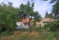 ,,Kleines Haus und großer Obstgarten in Hornstein!"