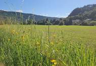 Investment am Millstätter See – Seltenes Entwicklungsareal in Seenähe mit außergewöhnlichem Potenzial