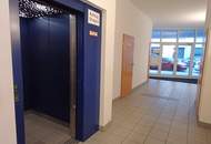 " Lichtdurchflutete Traumwohnung mit Lift &amp; großzügigem Wohnbereich "