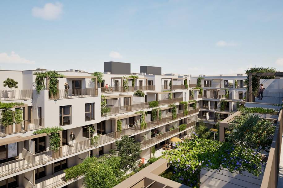 Terrazza22 - Ein Zuhause zum Aufblühen in der Aladar-Pecht-Gasse 15+17, 1220 Wien, Wohnung-kauf, 297.000,€, 1220 Wien 22., Donaustadt