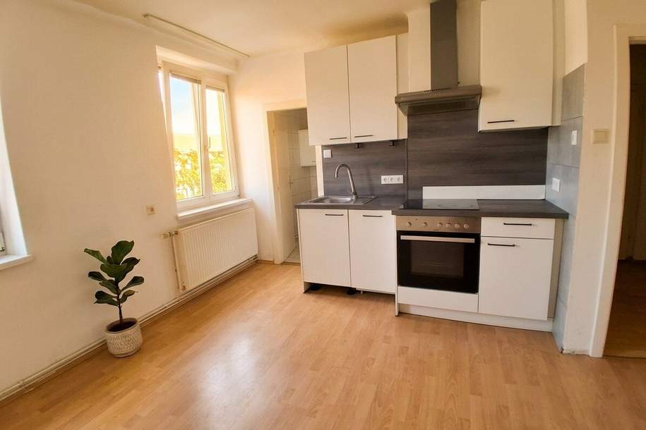 Geräumige Mietwohnung in Gmünd, toller Gemeinschaftsgarten!, Wohnung-miete, 589,95,€, 3950 Gmünd