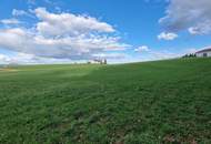 Bauernhof, Landwirtschaft, Alleinlage, Aussichtslage