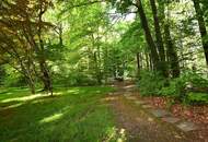 Geräumig, ruhig und direkt am Wanderweg des Ries-Waldes mit Sonnenbalkon beim LKH