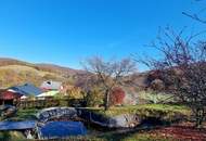 FAMILIENDOMIZIL MIT SCHWIMMTEICH