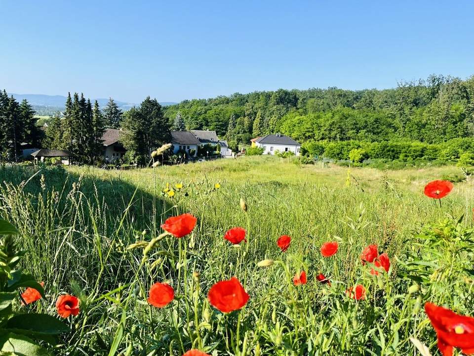 Baugrundstück(e) in absoluter Bestlage von LEOBENDORF - BURG KREUZENSTEIN