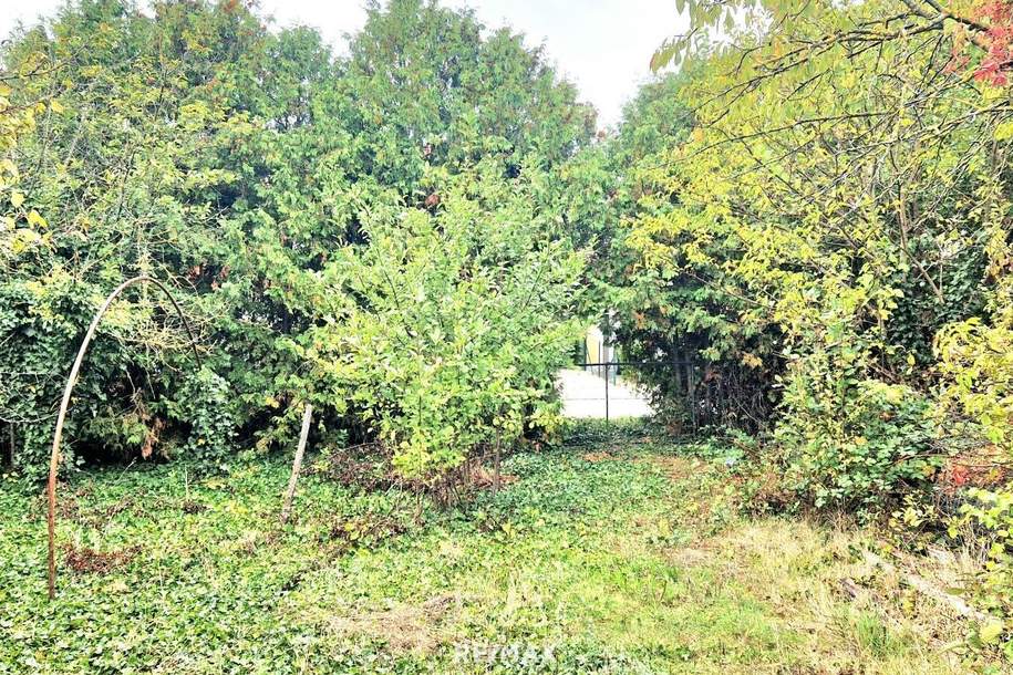 BAUGRUND, Grund und Boden-kauf, 235.000,€, 7122 Neusiedl am See