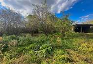 Reiterparadies im Weinviertel – Ihr Traum vom Landleben!