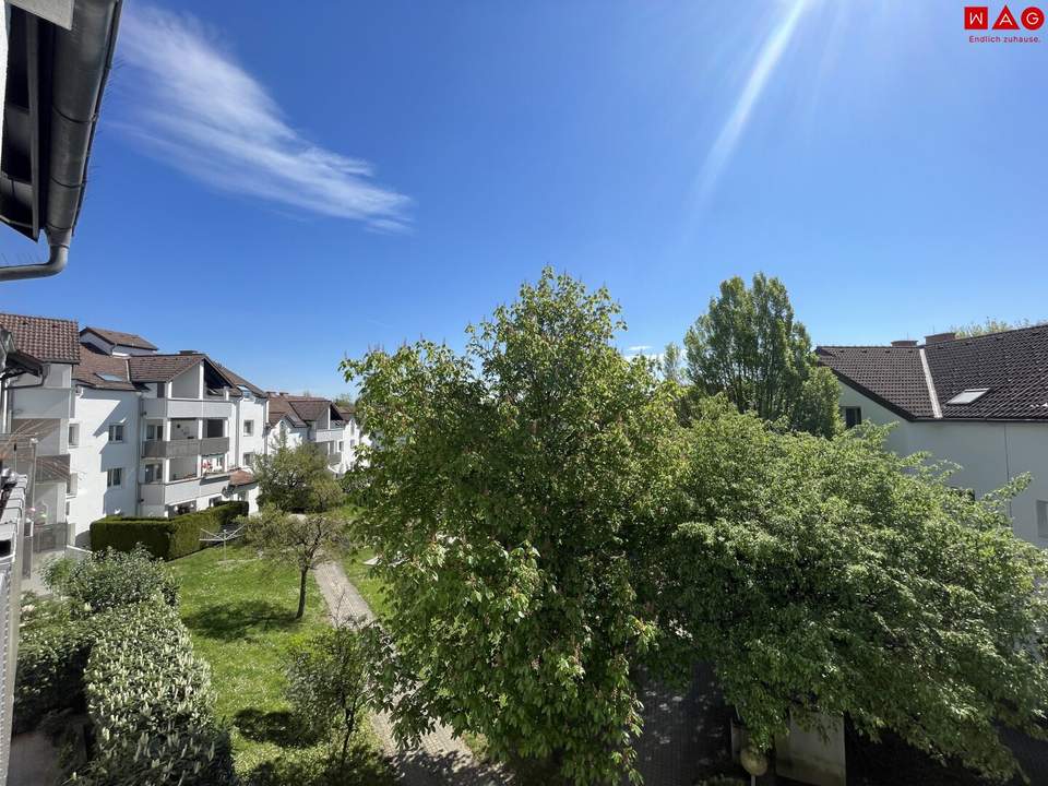 Bindermichl - OED: Sonnige perfekt eingeteilte 2 Raumwohnung in ruhiger grüner Wohngegend