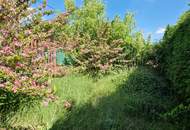 Sommerparadies auf 540 m² Pachtgrund im KGV Schwarze Au