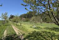 Provisionsfrei - Schönes Freizeitgrundstück mit Obstgarten