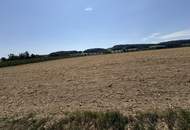landwirtschaftliche Nutzgründe