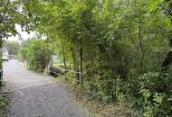 Natur pur