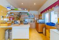 Investmentchance: Geschäftslokal und Wohnungen in Top-Lage in Ziersdorf!