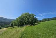 Sanierungsbedürftiges Sacherl mit Gebirgsblick