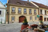 Historisches Winzerhaus mit Seele in Gumpoldskirchen