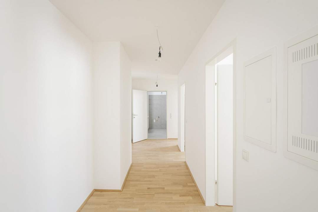 Perfekte 3 Zimmer plus großer Freifläche