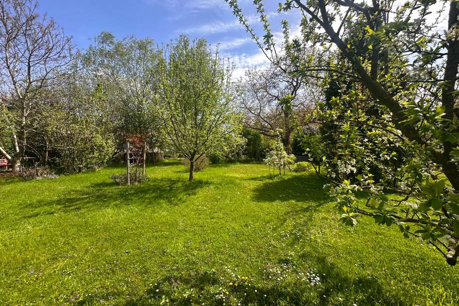 Ein Paradies auf dem Land – Haus mit viel Charme und Platz!, Haus-kauf, 159.000,€, 2130 Mistelbach