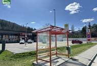 Idyllische Wohnung für Freizeitsportler im Grünen inkl. Carport- St. Aegyd am Neuwalde! - JETZT ZUSCHLAGEN
