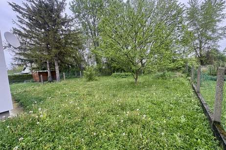 Günstig!!! - Sofortbezugsfertiges Einfamilienhaus mit Solaranlage und Eigengrund incl. Einbauküche!, Haus-kauf, 330.000,€, 2441 Baden