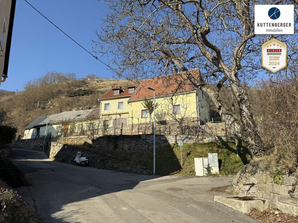 Förthof: Ehemaliges Winzerhaus mit 1.900m² Grund und Donaublick