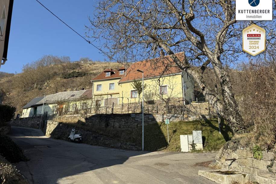 Förthof: Ehemaliges Winzerhaus mit 1.900m² Grund und Donaublick, Haus-kauf, 595.000,€, 3500 Krems an der Donau(Stadt)