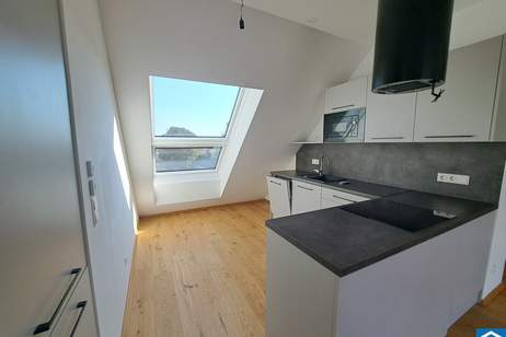 Nachbezug: 4 Zimmerwohnung mit Terrasse am Bienefeld - Modern, Hochwertig, Unvergleichlich!, Wohnung-kauf, 199.000,€, 1220 Wien 22., Donaustadt