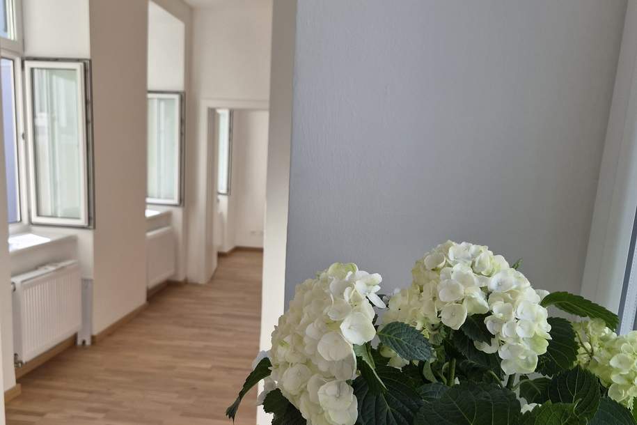 Studentenwohnung im beliebten Stuwerviertel nahe der WU Wien | Provisionsfrei! Freier Mietzins!, Wohnung-kauf, 285.000,€, 1020 Wien 2., Leopoldstadt